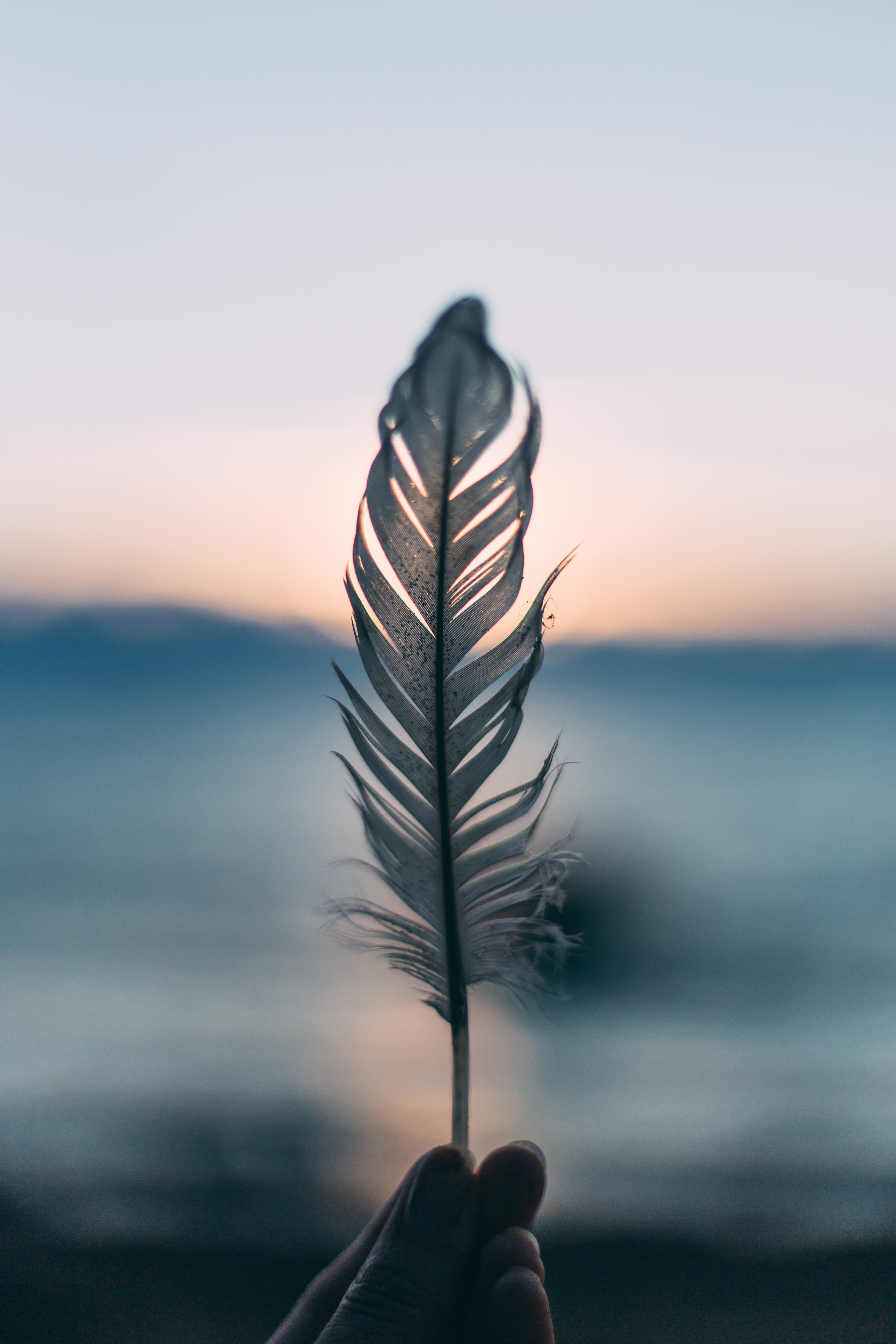 Misty Dawn Celestial Feather with Gold Rim
